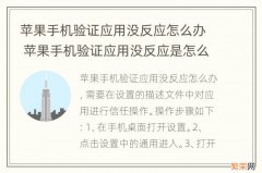 苹果手机验证应用没反应怎么办 苹果手机验证应用没反应是怎么回事