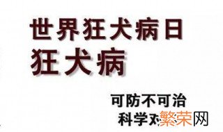 世界狂犬病日是每年的几月几日 世界狂犬病日介绍