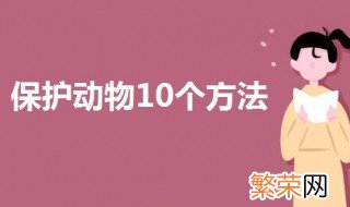 保护动物10个方法 保护动物应该要这样做