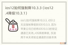 ios12.4降级10.3.1 ios12如何强制降10.3.3