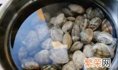 花蛤的清洗方法 正确清洗花蛤的3种方法