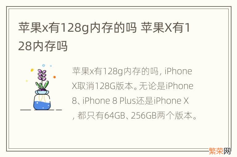 苹果x有128g内存的吗 苹果X有128内存吗