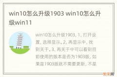 win10怎么升级1903 win10怎么升级win11