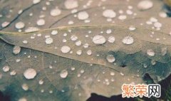 寒露下雨好吗 这段时间的天气如何呢