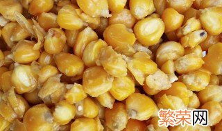 发酵玉米饵料制作方法 自制钓大鲤的发酵碎玉米饵料制作方法