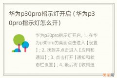 华为p30pro指示灯怎么开 华为p30pro指示灯开启