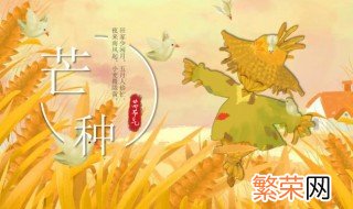 什么叫芒种节气 芒种节气该种什么