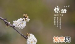 什么是节气 节气门传感器