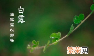 白露节气为什么要吃龙眼 白露节气为什么吃龙眼