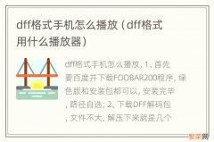 dff格式用什么播放器 dff格式手机怎么播放