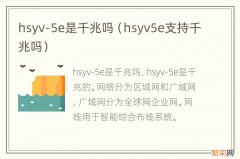 hsyv5e支持千兆吗 hsyv-5e是千兆吗