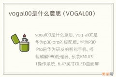 VOGAL00 vogal00是什么意思