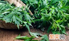 艾叶煮水洗澡正确方法 艾叶煮水洗澡的方法