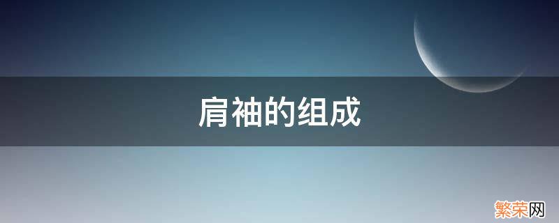 肩袖的组成不包括 肩袖的组成