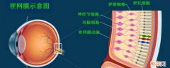 可以把光反射回什么达到收集光线的作用