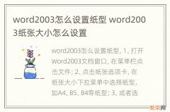 word2003怎么设置纸型 word2003纸张大小怎么设置