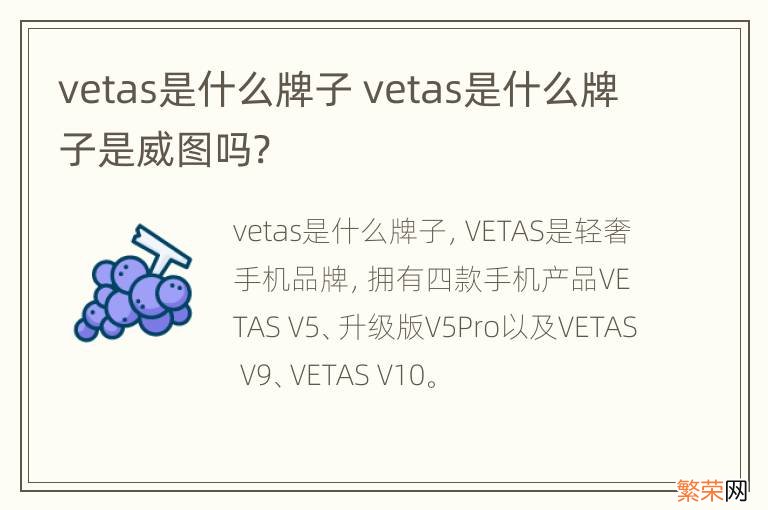 vetas是什么牌子 vetas是什么牌子是威图吗?