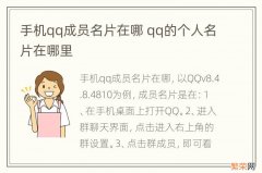 手机qq成员名片在哪 qq的个人名片在哪里