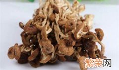 干茶树菇泡发窍门 茶树菇怎么泡才会软