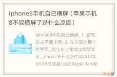 苹果手机8不能横屏了是什么原因 iphone8手机自己横屏