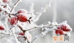 为什么冬天的时候想不起来夏天多热呢 为什么冬天的时候想不起来夏天多热