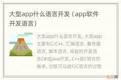 app软件开发语言 大型app什么语言开发