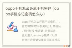 oppo手机忘记密码怎么办 oppo手机怎么还原手机密码