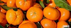 橘子的寓意和象征着什么 橘子的寓意和象征意义