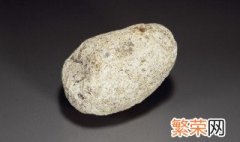 古代龙涎香是什么东西 龙涎香的本质是什么