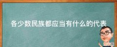 各少数民族都应当有什么的代表 少数民族以什么族为主