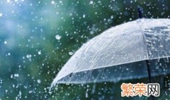 下雨天适合穿皮鞋吗 能不能在下雨天穿皮鞋