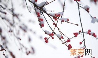 小雪节气宜什么不宜什么 小雪节气应该注意些什么