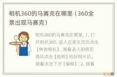 360全景出现马赛克 相机360的马赛克在哪里