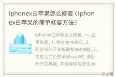 iphonex白苹果的简单修复方法 iphonex白苹果怎么修复