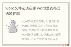 word文件选项在哪 word里的格式选项在哪