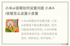 小米ai音箱如何设置问题 小米AI音箱怎么设置小音量