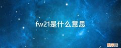 fw21是什么意思 fw20是什么意思