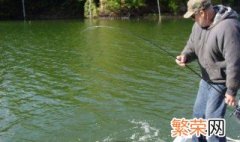 秋季钓鱼的技巧和方法 秋季钓鱼的技巧介绍