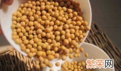 大豆养殖方法 大豆的种植方法介绍