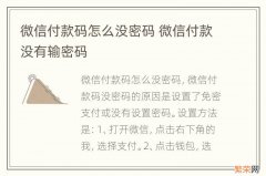 微信付款码怎么没密码 微信付款没有输密码