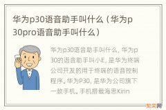 华为p30pro语音助手叫什么 华为p30语音助手叫什么