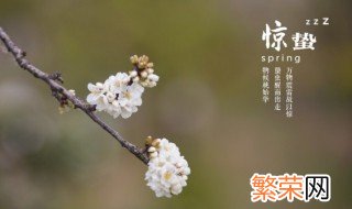 24节气雨水后是什么 24节气雨水之后是什么