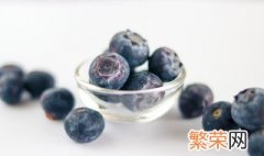蓝莓怎么养殖 家养盆栽蓝莓该如何种植