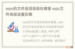 wps的文件选项高级在哪里 wps文件高级设置在哪