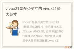 vivox21是多少英寸的 vivox21多大英寸