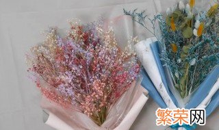 满天星干花制作过程 干花满天星如何制作