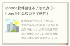 iPhone为什么验证不了软件 iphone软件验证不了怎么办