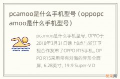 oppopcamoo是什么手机型号 pcamoo是什么手机型号