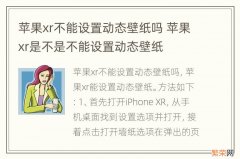 苹果xr不能设置动态壁纸吗 苹果xr是不是不能设置动态壁纸