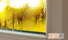 除湿机真的可以除湿吗 除湿机除湿有效果吗